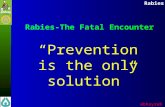 Rabies abhayrab Rabies-The Fatal Encounter “Prevention is the only solution”