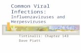 Common Viral Infections: Influenzaviruses and Herpesviruses Tintinalli: Chapter 143 Dave Piatt.