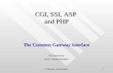 1 CGI, SSI, ASP and PHP The Common Gateway Interface E-Commerce Prof. Sheizaf Rafaeli.