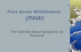 Post Acute Withdrawal (PAW) The Sobriety Based Symptoms of Recovery.