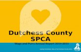 Lasting Friendships. Now at the Dutchess County SPCA Dutchess County SPCA Wags and Purrs Annual Report 2014-2015.