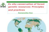 Ex situ conservation of forest genetic resources: Principles and practices Ramanatha Rao.