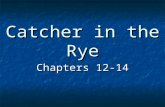 Catcher in the Rye Chapters 12-14. Chapter 12 On the way to the bar in a taxi, a depressed Holden mentally complains that he always gets "those vomity.