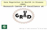 Gene Regulation in Health in Disease (GRHD) Research Center of Excellence at CSU GRHD Logo is “under construction” by CSU Art Department.
