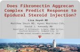 Does Fibronectin Aggrecan Complex Predict Response to Epidural Steroid Injection? Lisa Huynh MD Matthew Smuck MD, Agnes Martinez-Ith, David J. Kennedy.