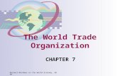 Reinert/Windows on the World Economy, 2004 The World Trade Organization CHAPTER 7.