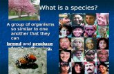 What is a species? A group of organisms so similar to one another that they can breed and produce fertile offspring.