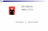 DATABASE ANALYSIS Chandra S. Amaravadi 1. IN REQUIREMENTS ANALYSIS.. Overview of database analysis (requirements) User views Integrity constraints Steps.