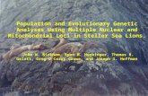 Population and Evolutionary Genetic Analyses Using Multiple Nuclear and Mitochondrial Loci in Steller Sea Lions. John W. Bickham, Ryan M. Huebinger, Thomas.