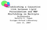 Establishing a Causative Link between Lipid Peroxidation and MBP Misfolding in Multiple Sclerosis Natalie K. Cygan Scripps-Oxford Laboratory June 13, 2007.