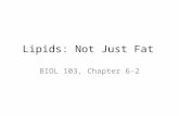 Lipids: Not Just Fat BIOL 103, Chapter 6-2. Today’s Topics Lipids Digestion and Absorption Lipids in the Body Lipids in the Diet Lipids and Health.