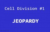 Cell Division #1 JEOPARDY S2C06 Jeopardy Review What Phase Is it? Vocabulary Cell Division Picture ID More Vocab 100 200 300 400 500.