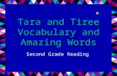 Tara and Tiree Vocabulary and Amazing Words Second Grade Reading.