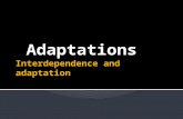 Adaptations.  Adaptations for survival  Adaptations for survival in deserts and the Arctic.  Adaptations to cope with specific features of the environment.