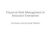 Financial Risk Management of Insurance Enterprises Stochastic Interest Rate Models.