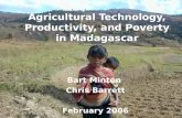 Agricultural Technology, Productivity, and Poverty in Madagascar Bart Minten Chris Barrett February 2006.