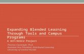 Expanding Blended Learning Through Tools and Campus Programs A UCF/AASCU Project Thomas Cavanagh, Ph.D. Assistant Vice President, Distributed Learning.