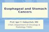 Esophageal and Stomach Cancers Prof. Igor Y. Galaychuk, MD Chief, Department of Oncology & Radiology TSMU.