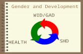 Gender and Development HEALTH SHD WID/GAD. Gender and Development Sue Ellen M. Charlton, Ph.D. Professor of Political Science Colorado State University.