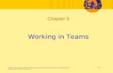 Chapter 5, Nancy Langton and Stephen P. Robbins, Fundamentals of Organizational Behaviour, Third Canadian Edition 5-1 Copyright © 2007 Pearson Education.