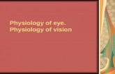 Physiology of eye. Physiology of vision. Diapasone of the visible light.