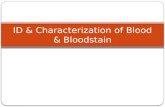 ID & Characterization of Blood & Bloodstain. BEFORE DNA THERE WAS: SEROLOGY.