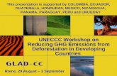 UNFCCC Workshop on Reducing GHG Emissions from Deforestation in Developing Countries Rome, 29 August – 1 September This presentation is supported by COLOMBIA,