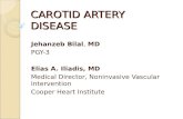 CAROTID ARTERY DISEASE Jehanzeb Bilal, MD PGY-3 Elias A. Iliadis, MD Medical Director, Noninvasive Vascular Intervention Cooper Heart Institute.