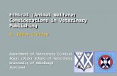 R. Eddie Clutton Department of Veterinary Clinical Studies Royal (Dick) School of Veterinary Studies University of Edinburgh Scotland Ethical (Animal Welfare)