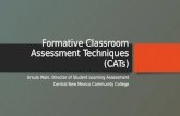 Formative Classroom Assessment Techniques (CATs) Ursula Waln, Director of Student Learning Assessment Central New Mexico Community College.