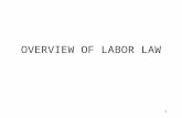 1 OVERVIEW OF LABOR LAW 2 Purpose of Labor Law To provide legal protection for the collectivization of the employment relationship –Organizing/Recognition.