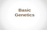 Basic Genetics *. View video at: .
