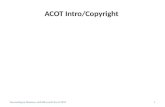 ACOT Intro/Copyright Succeeding in Business with Microsoft Excel 20101.