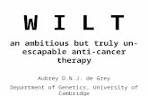 W I L T an ambitious but truly un-escapable anti-cancer therapy Aubrey D.N.J. de Grey Department of Genetics, University of Cambridge.
