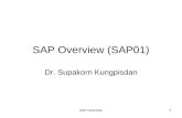 SAP Overview1 SAP Overview (SAP01) Dr. Supakorn Kungpisdan.