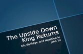 The Upside Down King Returns Oil, donkeys, and rejection in John 12.