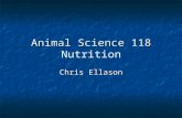 Animal Science 118 Animal Science 118 Nutrition Chris Ellason.