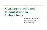 Catheter-related bloodstream infections Wanida Paoin Thammasat University.