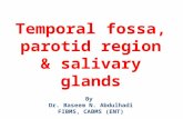 Temporal fossa, parotid region & salivary glands By Dr. Baseem N. Abdulhadi FIBMS, CABMS (ENT)