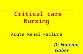 Critical care Nursing Acute Renal Failure Dr Naiema Gaber.