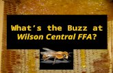 What’s the Buzz at Wilson Central FFA?. Why bees? Bees are agriculture at its most basic Bees are pollinators Our diet would be bland and dull without.