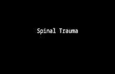Spinal Trauma. Types  Cervical 40%  Thoracic 10%  Lumbar 3%  Dorso lumbar 35%  Combination of areas 14%