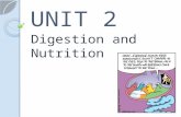 UNIT 2 Digestion and Nutrition. Human Digestive System Function The main function of the digestive system is to break down large macromolecules (proteins,