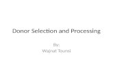 Donor Selection and Processing By: Wajnat Tounsi.