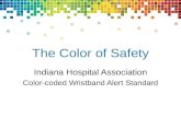 The Color of Safety Indiana Hospital Association Color-coded Wristband Alert Standard.