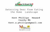 Deterring Deer from Eating the Home Landscape Kent Phillips Howard County MG Kent.a.phillips@gmail.com.