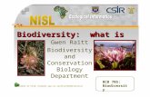 Available at  Biodiversity: what is it? Gwen Raitt Biodiversity and Conservation Biology Department BCB 705: