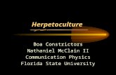 Herpetoculture Boa Constrictors Nathaniel McClain II Communication Physics Florida State University.