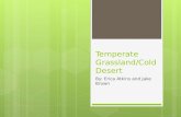 Temperate Grassland/Cold Desert By: Erica Atkins and Jake Brown.