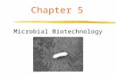 Microbial Biotechnology Chapter 5. The Structure of Microbes zProkaryotes Archaebacteria Includes halophiles, thermophiles, “extremophiles” Eubacteria.